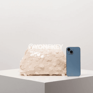 Zenanlar üçin seýkelli clutch sumka — toý we dabaralar üçin