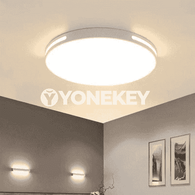 Öý üçin niýetlenen potolok led çyralar 