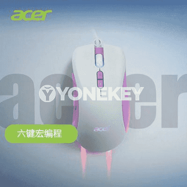 “Acer” simli syçanjyklar.