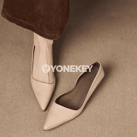 Zenanlar üçin fransuz retro ýiti burun slingback aýakgaplar, pes ökçeli