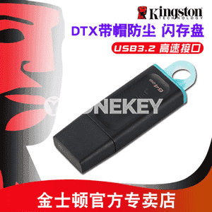 Kingston u disk