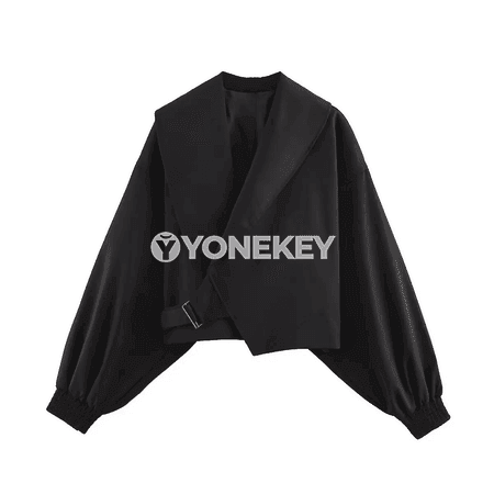 Zenanlar üçin ýaz-güz uzyn ýeňli resmi blazer penjek
