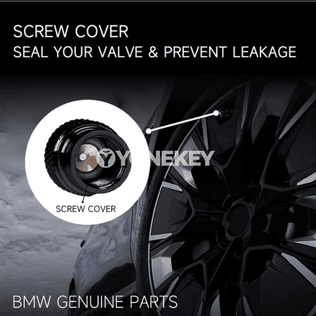 BMW üçin alýumin teker klapan gapaklary, M 50 ýyllyk ýörite