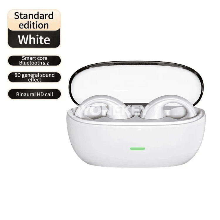 CHUBAN S22 TWS simsiz Bluetooth gulaklyk, mikrofonly, ses ýatyryjy