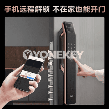 Haier doly awtomatiki elektron akylly gapy gulpy.
