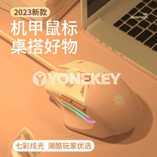 Kompýuterler üçin USB simli syçanjyk.