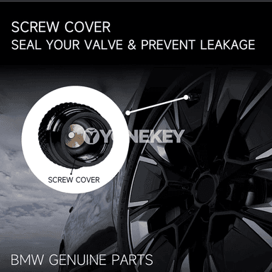 BMW üçin alýumin teker klapan gapaklary, M 50 ýyllyk ýörite