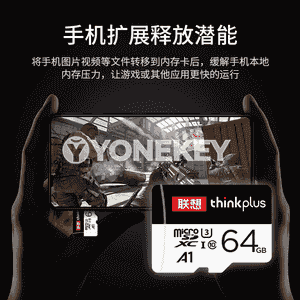 Lenovo MicroSD ýat